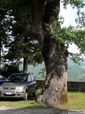 Clicca per vedere l'immagine alla massima grandezza