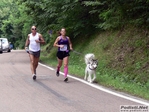 P1500165.jpg