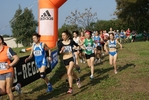 Nome del file=cic_171.jpg
Dimensione del file=174KiB
Dimensioni=1024x685
Aggiunta il=28 Mar 2011 cic_171.jpg