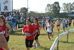 Nome del file=cic_231.jpg
Dimensione del file=174KiB
Dimensioni=1024x685
Aggiunta il=28 Mar 2011 cic_231.jpg