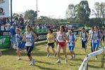 Nome del file=cic_233.jpg
Dimensione del file=183KiB
Dimensioni=1024x685
Aggiunta il=28 Mar 2011 cic_233.jpg