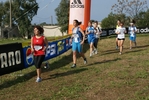 Nome del file=cic_385.jpg
Dimensione del file=184KiB
Dimensioni=1024x685
Aggiunta il=28 Mar 2011 cic_385.jpg