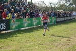 Nome del file=cic_502.jpg
Dimensione del file=162KiB
Dimensioni=1024x685
Aggiunta il=28 Mar 2011 cic_502.jpg