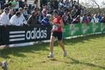 Nome del file=cic_596.jpg
Dimensione del file=149KiB
Dimensioni=1024x685
Aggiunta il=28 Mar 2011 cic_596.jpg