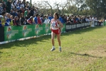 Nome del file=cic_597.jpg
Dimensione del file=174KiB
Dimensioni=1024x685
Aggiunta il=28 Mar 2011 cic_597.jpg