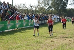 Nome del file=cic_613.jpg
Dimensione del file=164KiB
Dimensioni=1024x685
Aggiunta il=28 Mar 2011 cic_613.jpg