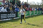 Nome del file=cic_640.jpg
Dimensione del file=148KiB
Dimensioni=1024x685
Aggiunta il=28 Mar 2011 cic_640.jpg