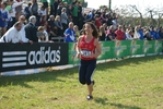 Nome del file=cic_643.jpg
Dimensione del file=139KiB
Dimensioni=1024x685
Aggiunta il=28 Mar 2011 cic_643.jpg