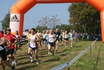 Nome del file=cic_774.jpg
Dimensione del file=170KiB
Dimensioni=1024x685
Aggiunta il=28 Mar 2011 cic_774.jpg