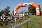 Nome del file=cic_778.jpg
Dimensione del file=159KiB
Dimensioni=1024x685
Aggiunta il=28 Mar 2011 cic_778.jpg