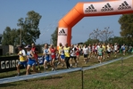 Nome del file=cic_779.jpg
Dimensione del file=154KiB
Dimensioni=1024x685
Aggiunta il=28 Mar 2011 cic_779.jpg