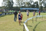 cic_1100.jpg
