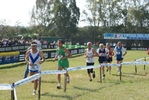 cic_1190.jpg