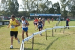 cic_1243.jpg