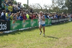 cic_1268.jpg