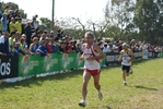 cic_1302.jpg