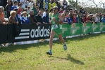 cic_1316.jpg