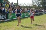 cic_1317.jpg