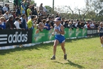 cic_1383.jpg