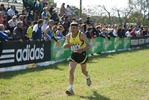 cic_1395.jpg
