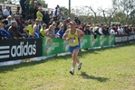 cic_1397.jpg