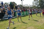 cic_1400.jpg