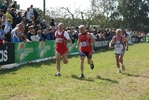 cic_1429.jpg
