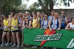 cic_1484.jpg