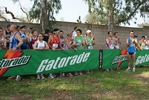 cic_1499.jpg
