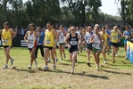 cic_1529.jpg
