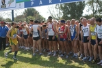 cic_1536.jpg