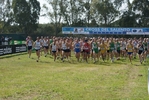 cic_1550.jpg