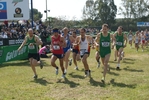 cic_1617.jpg