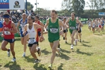 cic_1618.jpg