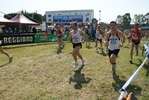 cic_1637.jpg