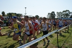 cic_2326.jpg