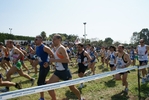 cic_2331.jpg