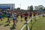 cic_2390.jpg