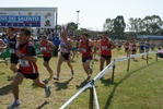 cic_2391.jpg
