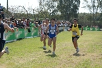 Nome del file=cic2_286.jpg
Dimensione del file=171KiB
Dimensioni=1024x685
Aggiunta il=28 Mar 2011 cic2_286.jpg
