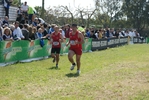 Nome del file=cic2_313.jpg
Dimensione del file=175KiB
Dimensioni=1024x685
Aggiunta il=28 Mar 2011 cic2_313.jpg
