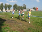 201.jpg