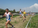 477.jpg