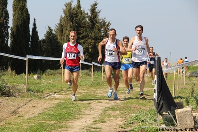Clicca per vedere l'immagine alla massima grandezza
