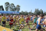 IMG_4018.jpg