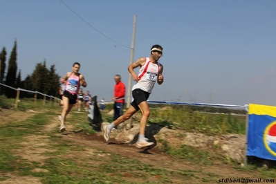 Clicca per vedere l'immagine alla massima grandezza