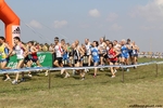 IMG_3600.jpg
