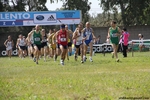 IMG_3604.jpg