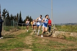 IMG_3769.jpg