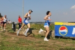 IMG_3772.jpg